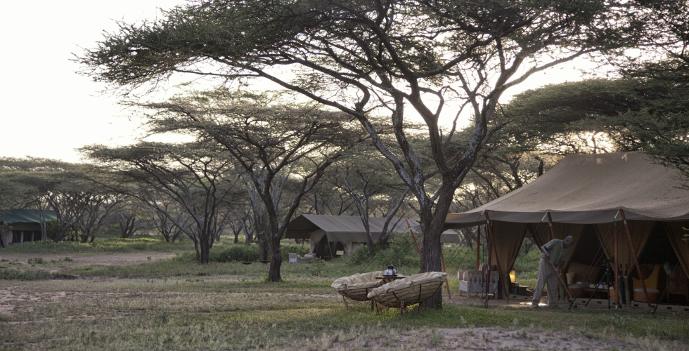 Alex Walker's Serian_Masai Mara_Serengeti Serian's Serengeti South