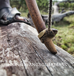 exploration_adventure