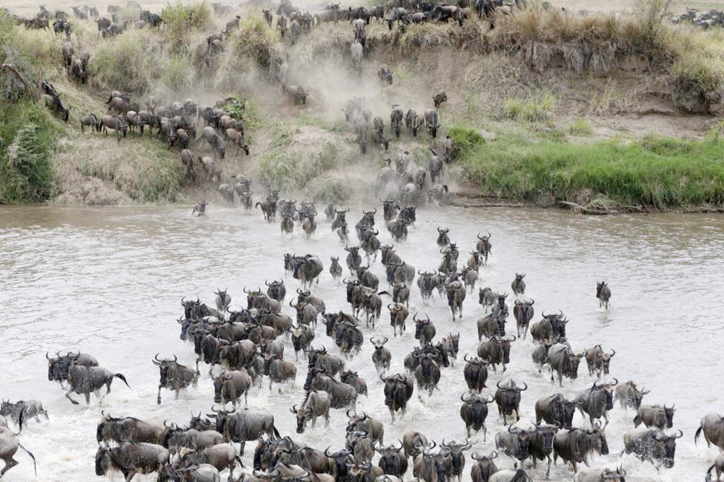 The Great Migration | June - November - Alex Walker's Serian